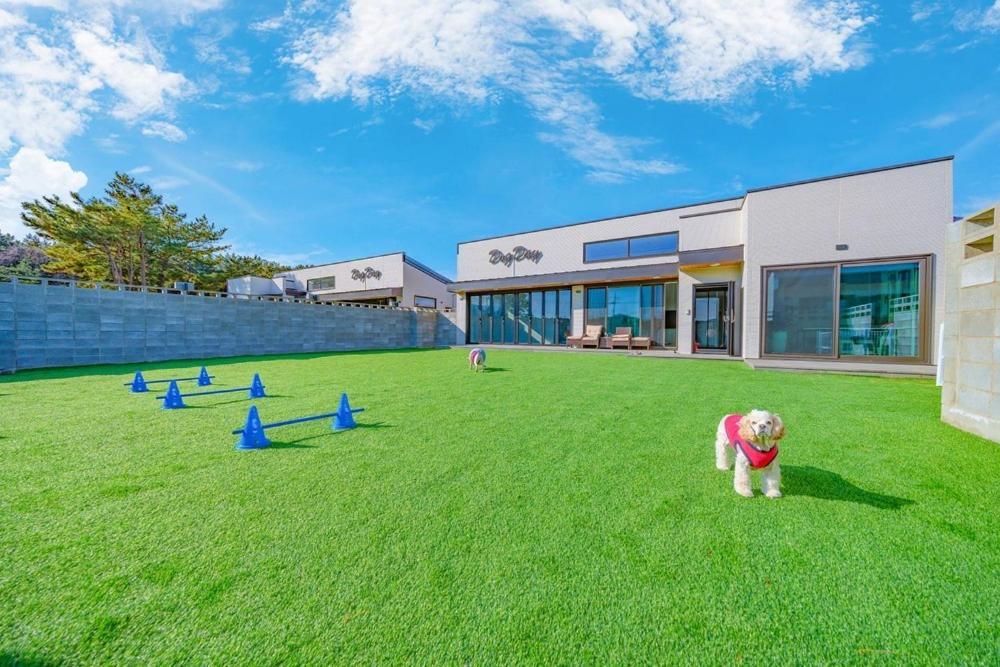 Taean Dog Day Pet Pool Villa Екстериор снимка